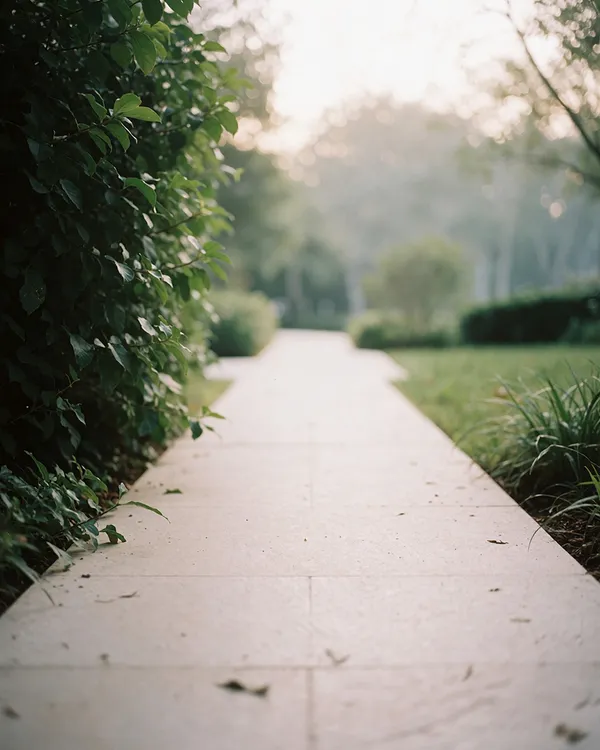 Three-step treatment pathway for adult ADHD and executive dysfunction