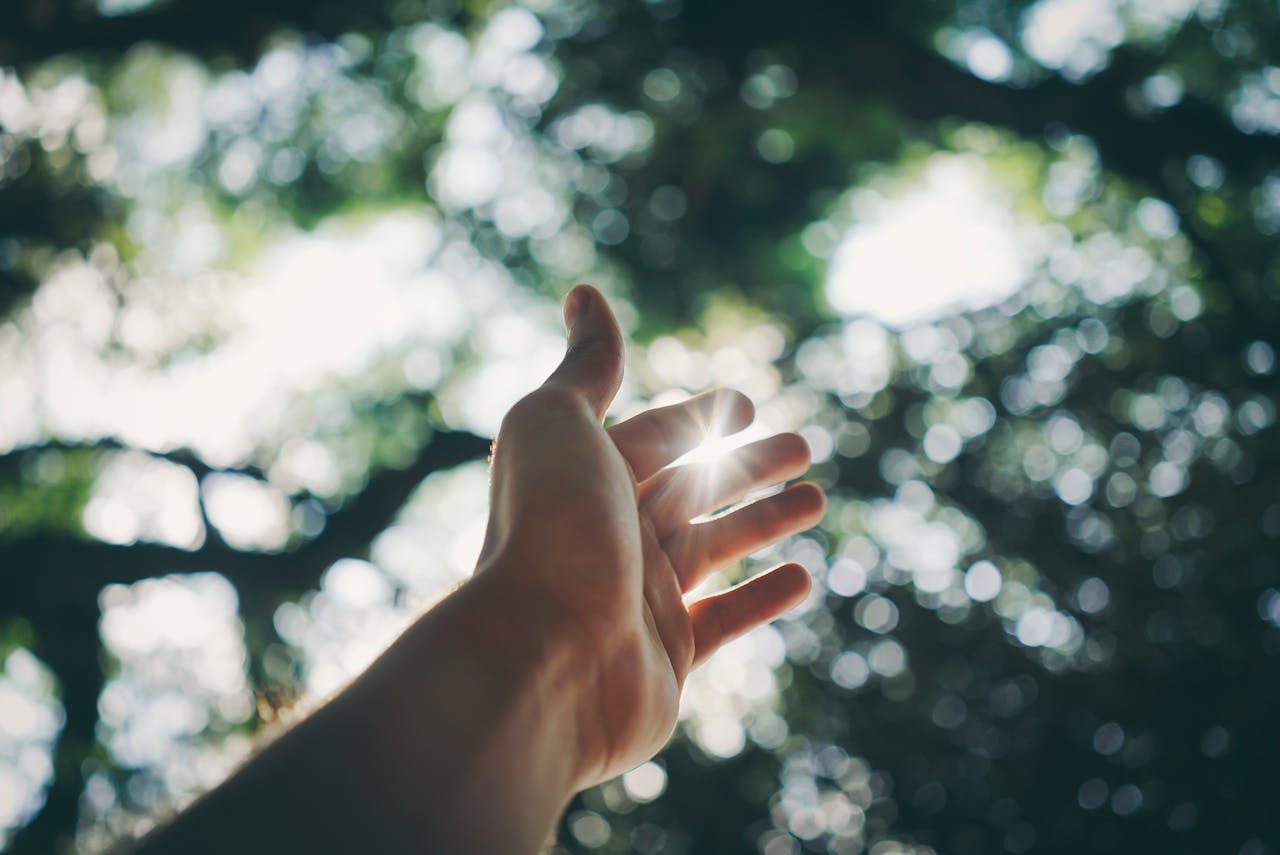 Mindfulness for Beginners: 5 Easy Daily Practices